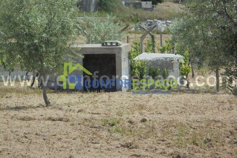 Helårsgrund i Castelo Branco, Castelo Branco, Castelo Branco - € 100.000 | Ref: 19048 - foto 4