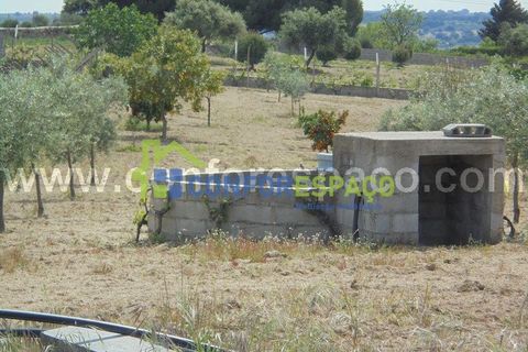 Helårsgrund i Castelo Branco, Castelo Branco, Castelo Branco - € 100.000 | Ref: 19048 - foto 1