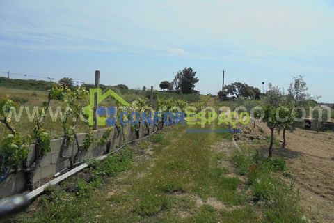 Helårsgrund i Castelo Branco, Castelo Branco, Castelo Branco - € 95.000 | Ref: 19049 - foto 1