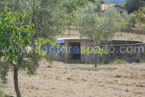 Helårsgrund i Castelo Branco, Castelo Branco, Castelo Branco - € 95.000 | Ref: 19049 - foto 2