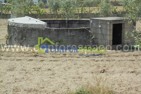 Helårsgrund i Castelo Branco, Castelo Branco, Castelo Branco - € 95.000 | Ref: 19049 - foto 3