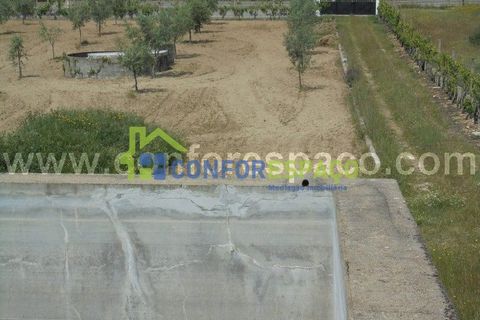 Helårsgrund i Castelo Branco, Castelo Branco, Castelo Branco - € 95.000 | Ref: 19049 - foto 4