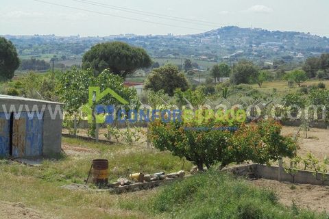 Helårsgrund i Castelo Branco, Castelo Branco, Castelo Branco - € 95.000 | Ref: 19049 - foto 7