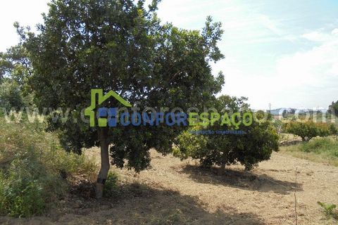 Helårsgrund i Castelo Branco, Castelo Branco, Castelo Branco - € 95.000 | Ref: 19049 - foto 8