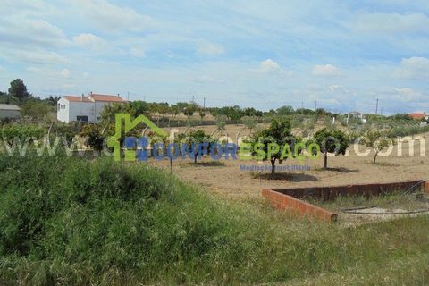 Helårsgrund i Castelo Branco, Castelo Branco, Castelo Branco - € 95.000 | Ref: 19049 - foto 11