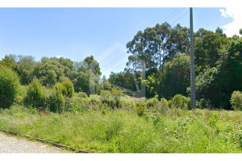 Tomt i Mozelos, Aveiro, Mozelos - € 42 000 | Ref: 8019 - foto 2