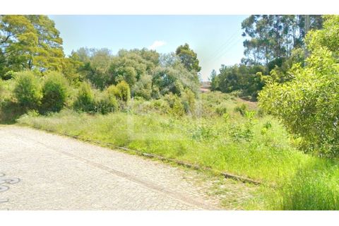 Tomt i Mozelos, Aveiro, Mozelos - € 42 000 | Ref: 8019 - foto 3