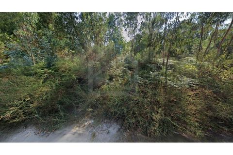Helårsgrund i Seroa, Porto, Seroa - € 631.000 | Ref: 8020 - foto 4