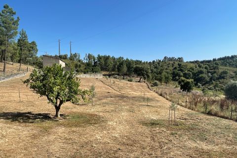 Helårsgrund i Abrantes, Santarem, Abrantes - € 129.000 | Ref: C0364-03572 - foto 5