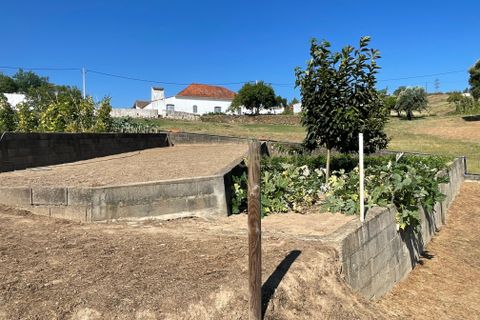 Helårsgrund i Abrantes, Santarem, Abrantes - € 129.000 | Ref: C0364-03572 - foto 13