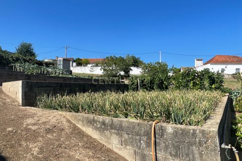 Helårsgrund i Abrantes, Santarem, Abrantes - € 129.000 | Ref: C0364-03572 - foto 14