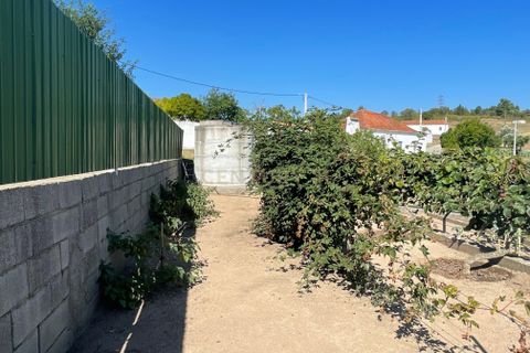 Helårsgrund i Abrantes, Santarem, Abrantes - € 129.000 | Ref: C0364-03572 - foto 15