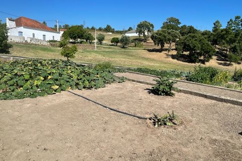 Helårsgrund i Abrantes, Santarem, Abrantes - € 129.000 | Ref: C0364-03572 - foto 19