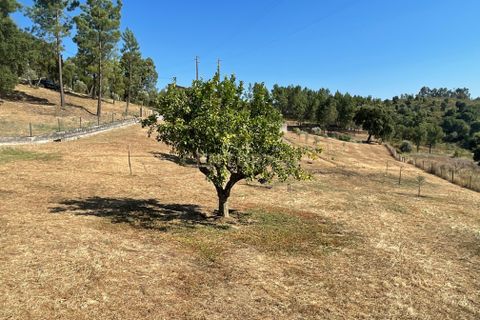 Helårsgrund i Abrantes, Santarem, Abrantes - € 129.000 | Ref: C0364-03572 - foto 21