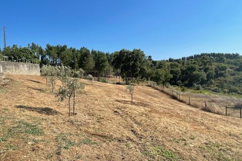 Helårsgrund i Abrantes, Santarem, Abrantes - € 129.000 | Ref: C0364-03572 - foto 22
