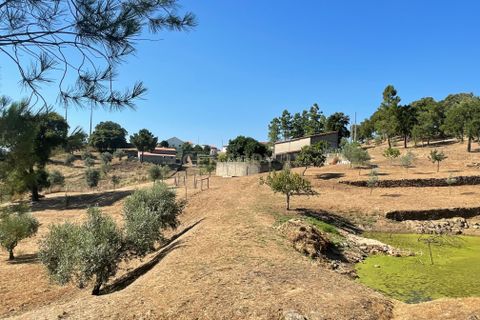 Helårsgrund i Abrantes, Santarem, Abrantes - € 129.000 | Ref: C0364-03572 - foto 23