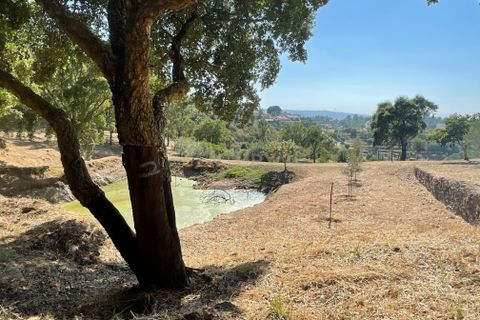 Helårsgrund i Abrantes, Santarem, Abrantes - € 129.000 | Ref: C0364-03572 - foto 25