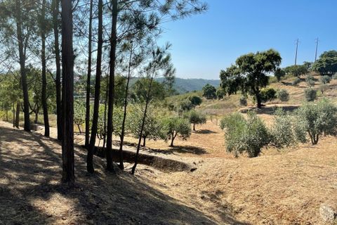 Helårsgrund i Abrantes, Santarem, Abrantes - € 129.000 | Ref: C0364-03572 - foto 26
