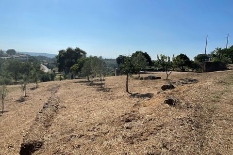 Helårsgrund i Abrantes, Santarem, Abrantes - € 129.000 | Ref: C0364-03572 - foto 28