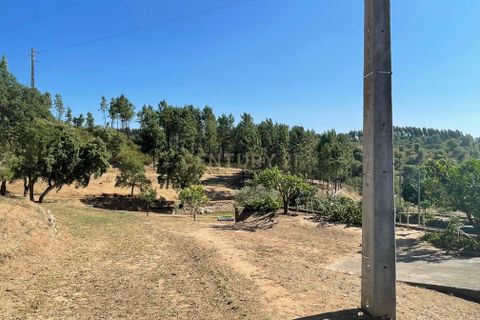 Helårsgrund i Abrantes, Santarem, Abrantes - € 129.000 | Ref: C0364-03572 - foto 29
