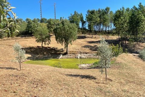 Helårsgrund i Abrantes, Santarem, Abrantes - € 129.000 | Ref: C0364-03572 - foto 32