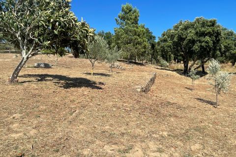 Helårsgrund i Abrantes, Santarem, Abrantes - € 129.000 | Ref: C0364-03572 - foto 33