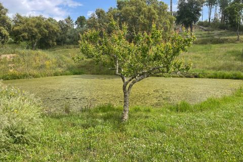 Helårsgrund i Abrantes, Santarem, Abrantes - € 129.000 | Ref: C0364-03572 - foto 34