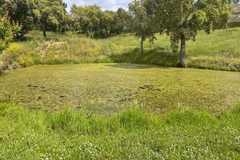 Helårsgrund i Abrantes, Santarem, Abrantes - € 129.000 | Ref: C0364-03572 - foto 35