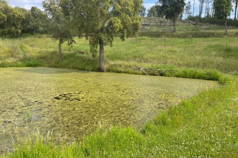 Helårsgrund i Abrantes, Santarem, Abrantes - € 129.000 | Ref: C0364-03572 - foto 36
