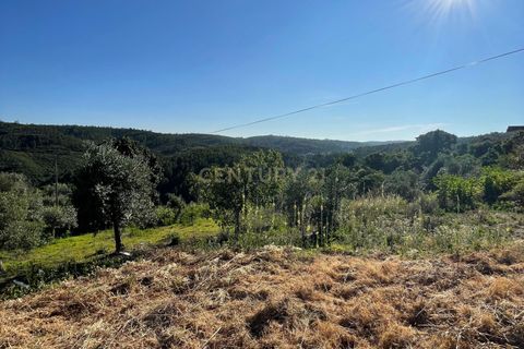 Helårsgrund i Abrantes, Santarem, Abrantes - € 28.000 | Ref: C0364-03948 - foto 2