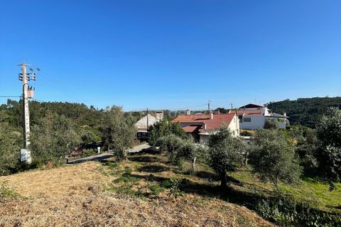 Helårsgrund i Abrantes, Santarem, Abrantes - € 28.000 | Ref: C0364-03948 - foto 3