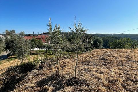Helårsgrund i Abrantes, Santarem, Abrantes - € 28.000 | Ref: C0364-03948 - foto 4