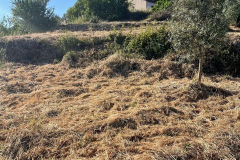 Helårsgrund i Abrantes, Santarem, Abrantes - € 28.000 | Ref: C0364-03948 - foto 5