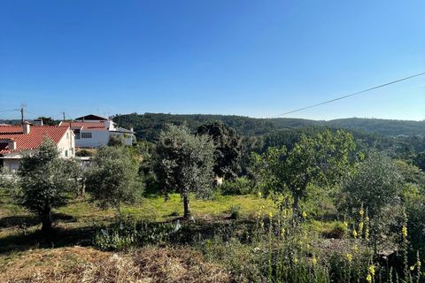 Helårsgrund i Abrantes, Santarem, Abrantes - € 28.000 | Ref: C0364-03948 - foto 6