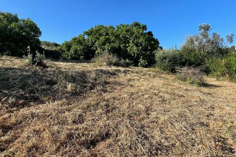 Helårsgrund i Abrantes, Santarem, Abrantes - € 28.000 | Ref: C0364-03948 - foto 8