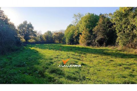 Gård i Courlay, Deux-Sevres, Courlay - € 73 000 | Ref: 84621 - foto 3