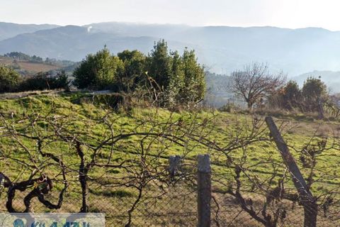 Helårsgrund i Baiao, Porto, Baiao - € 35.000 | Ref: 12607010 - foto 2
