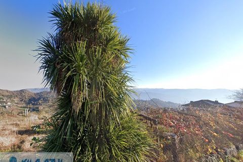 Helårsgrund i Baiao, Porto, Baiao - € 35.000 | Ref: 12607010 - foto 3