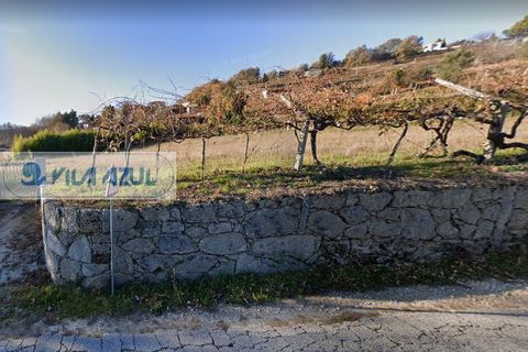 Helårsgrund i Baiao, Porto, Baiao - € 35.000 | Ref: 12607010 - foto 5