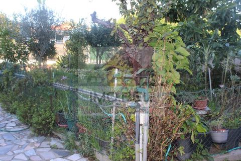 Lejlighed i Maia, Porto, Maia - € 230.000 | Ref: IM156 - foto 35