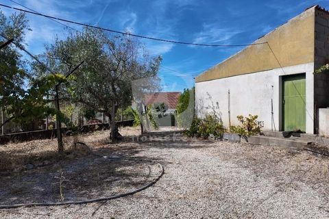 Willa: Castelo Branco, Castelo Branco, Castelo Branco – 200 000 € | Ref: H758 – zdjęcie 32