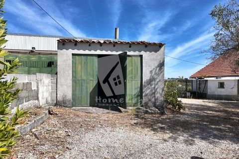 Willa: Castelo Branco, Castelo Branco, Castelo Branco – 200 000 € | Ref: H758 – zdjęcie 33