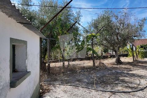 Willa: Castelo Branco, Castelo Branco, Castelo Branco – 200 000 € | Ref: H758 – zdjęcie 34