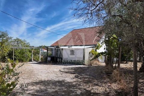 Willa: Castelo Branco, Castelo Branco, Castelo Branco – 200 000 € | Ref: H758 – zdjęcie 37