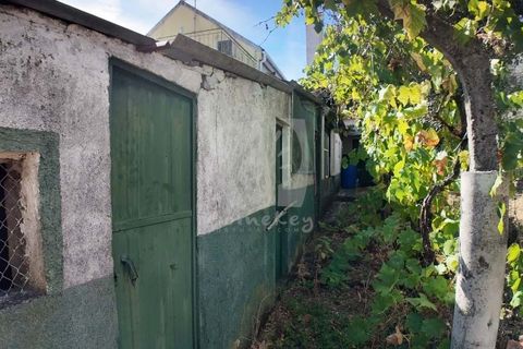 Willa: Castelo Branco, Castelo Branco, Castelo Branco – 200 000 € | Ref: H758 – zdjęcie 44