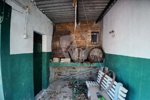 Willa: Castelo Branco, Castelo Branco, Castelo Branco – 200 000 € | Ref: H758 – zdjęcie 45