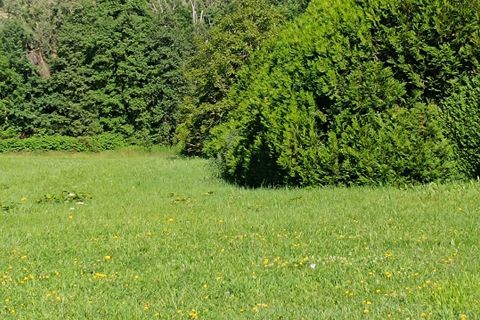 Terra a Cusset, Allier, Cusset - € 42.500 | Ref: 1262 - foto 5