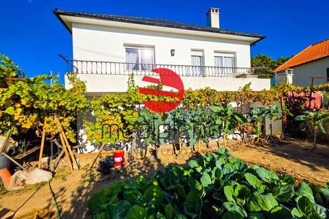 Villa i Penedono, Viseu, Penedono - € 115.000 | Ref: 515/MDA - foto 21