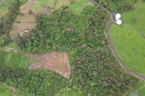 Helårsgrund i Terra Cha, Terceira, Terra Cha - € 125.000 | Ref: C0423-00551 - foto 5