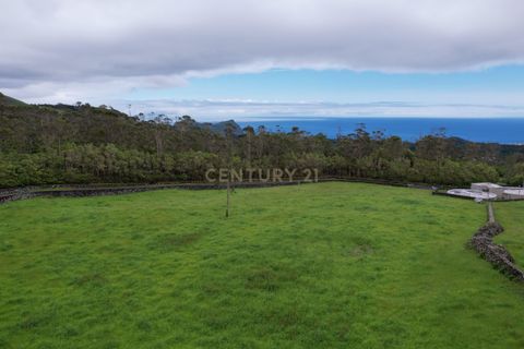 Helårsgrund i Terra Cha, Terceira, Terra Cha - € 125.000 | Ref: C0423-00551 - foto 6